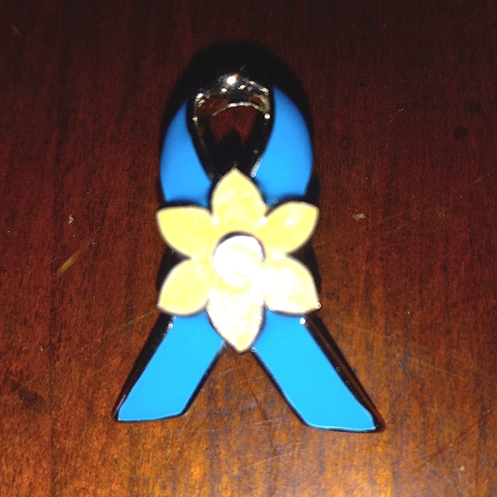❤️ FINAL REDUCTION Blue Cancer Awareness Pin